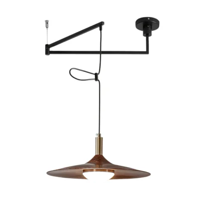 Crane Swing Arm Pendant Lamp