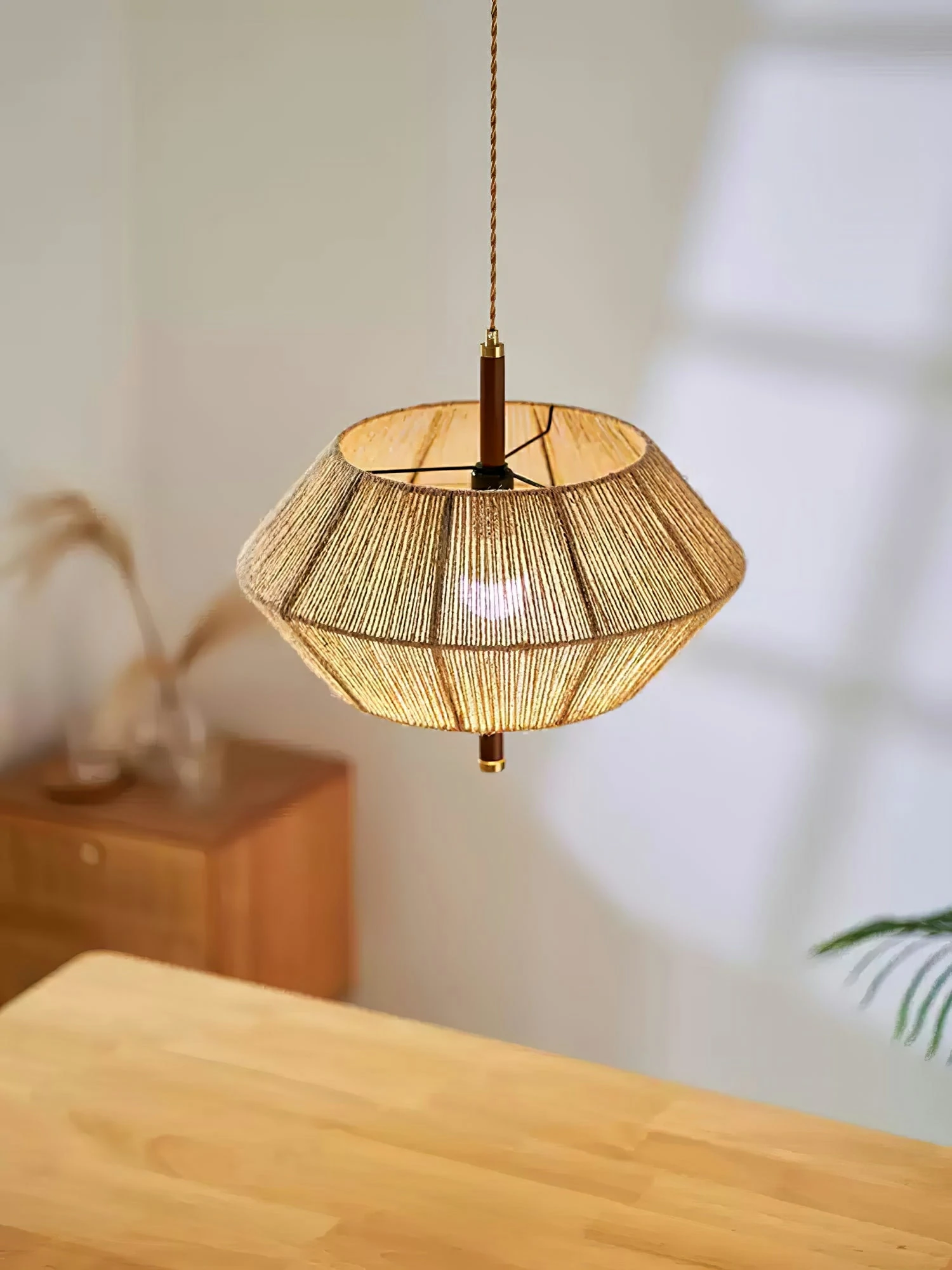 Aluna Corded Pendant Light - Image 5