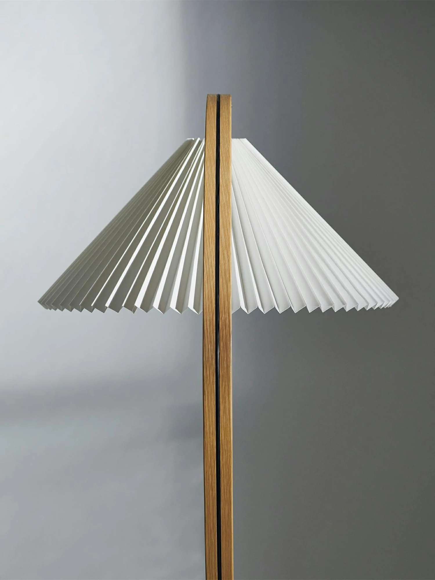 Caprani Floor Lamp - Image 19
