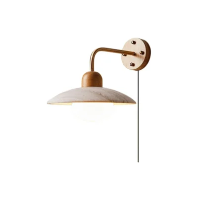 Dome Arm Plug-in Wall Lamp
