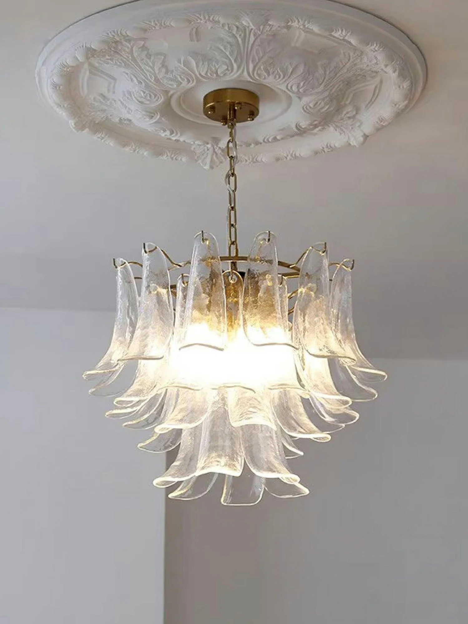 Murano Glass Leaf Chandelier - Image 23