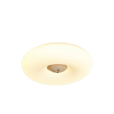 Solis Ring Ceiling Light